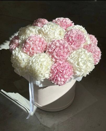 Flower Box «Strawberry & Cream» (19 гортензій)